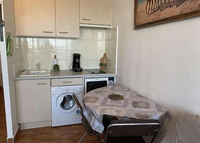 Apartman Cosy 4 Pers, A Pied, Parking Gratuit Port Camargue - Fr-1-250-176
